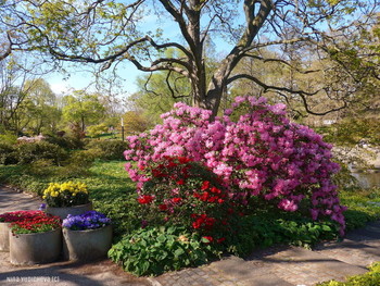 Planten un Blomen Hamburg / ***