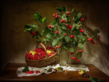 Hawthorn ... / ***