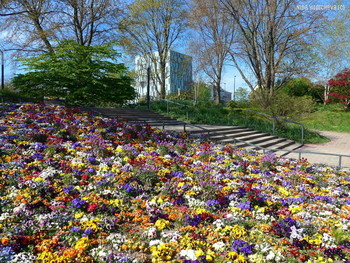 Planten un Blomen Hamburg / ***