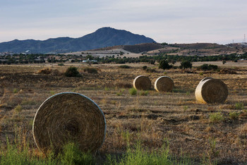 in the fields / ***