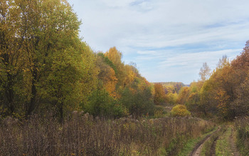 Autumn road / ***