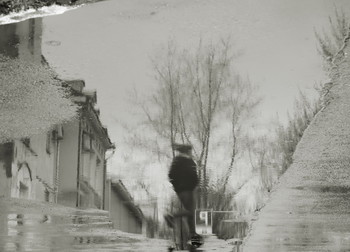 Spring / ***