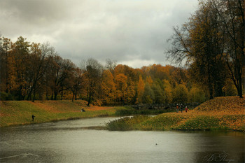 Autumn Gatchina / ***