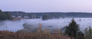 Foggy morning / 01.09.2019