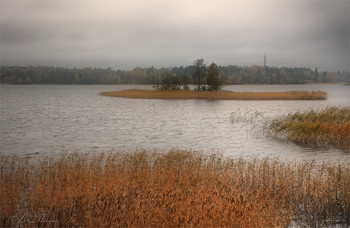 Gloomy / ***
