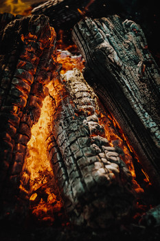 Burned Wood / ***