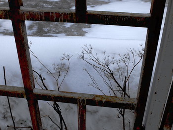 March / 2020-03-02-47-C0-066(80)+C


[img]https://i.imgur.com/Hzl9BxB.jpg[/img]