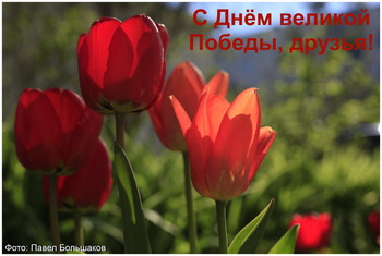 Happy Victory Day! / ***
