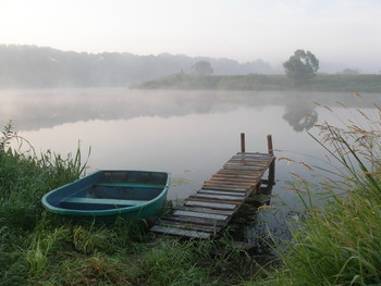 Morning fog / ***