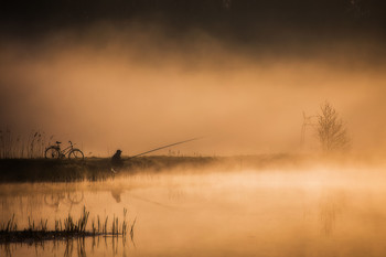 On a misty shore / ***