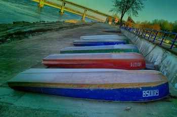 In anticipation of the summer / ***