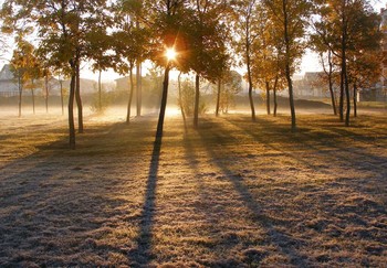 Frosty morning... / ***