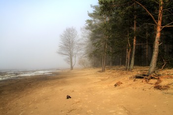 The smell of autumn / ***