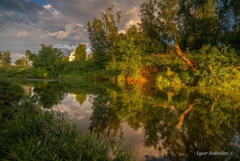 The evening after the rain / ***
