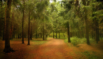 The park ... / ***