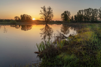On the lake / ***