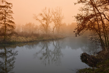The eerie silence on the misty river / Diese Ruhe und Stille am Fluss zieht mich wieder magisch an und ich entdecke immer neue Facetten des Lichts