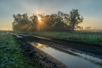 After the rain / ***