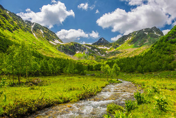 Valley Lesser Dukka / ***