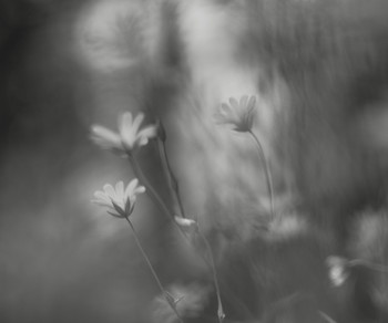 Breath / ***
