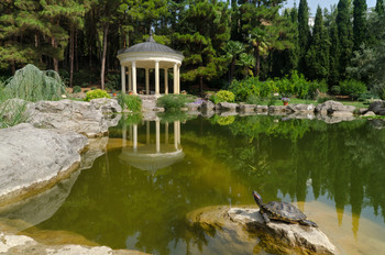 At the pond / ***