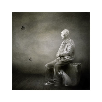 &nbsp; / digital art
