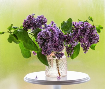 Lilac Time / ***