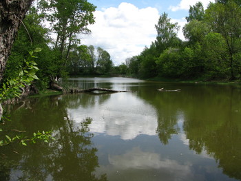 Old pond / ***