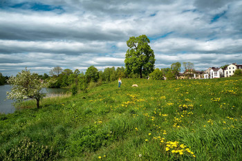 Summer countryside landscape. / Hello summer.