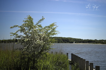 Fast schon Sommer... / Am Strand der Schlei in Schleswig.