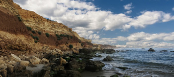 The rocky shore / ***