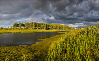 After the rain / ***