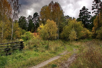 Autumn / ***