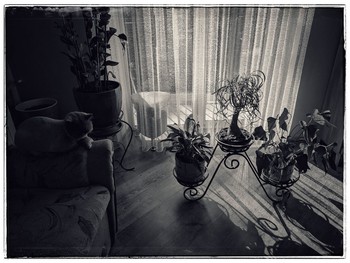 )))))))))))))))))))) / ***