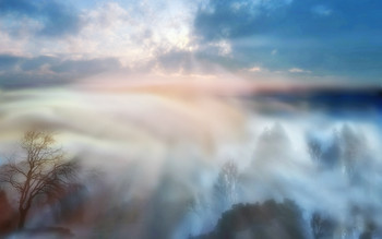 Foggy morning ... / ***