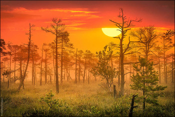 &nbsp; / Sunrise