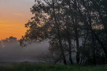 At dawn / ***