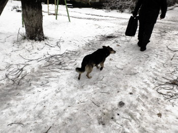 Years / 2015-11-06-159-C0-036(80)


[img]https://i.imgur.com/OAyYd8G.jpg[/img]


[img]https://i.imgur.com/01UdYtM.jpg[/img]