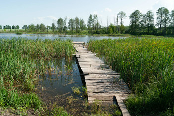 bridge on the lake / ***