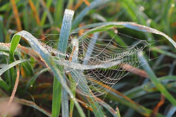 In the morning / ***