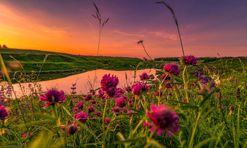 By the pond. / ***