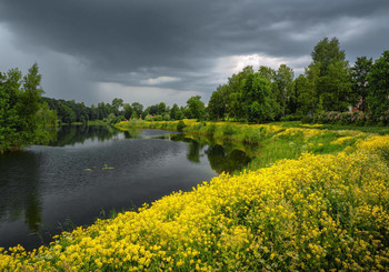 Before the storm. / Before the storm. Gatchina, Priory Park, June.