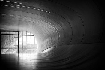 View of the City / ***