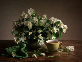 Jasmine tea / 2020