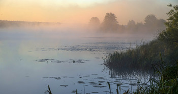 Cold morning / ***