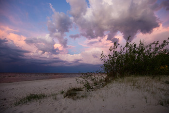 Storm Front / ***