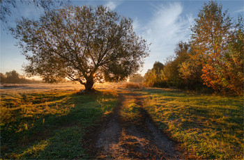 Autumn contrasts / ***