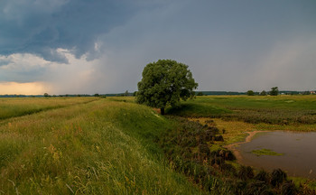 Before the storm / ***