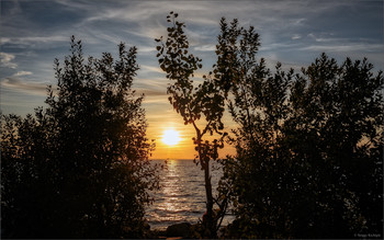 On the sunset / ***
