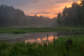 Sunset after rain / ***